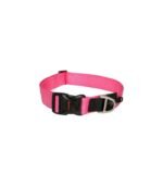 Rogz Classic Dog Collar - Image 3